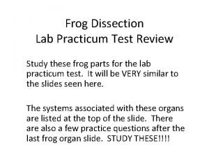 Frog Dissection Lab Practicum Test Review Study these