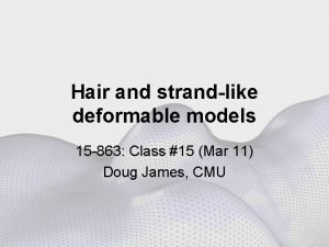 Hair and strandlike deformable models 15 863 Class