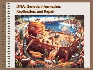 DNA Genetic Information Replication and Repair Replication Synthesis