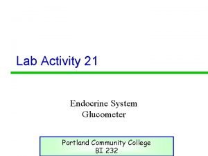 Lab Activity 21 Endocrine System Glucometer Portland Community
