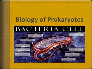 What are two basic types of cells