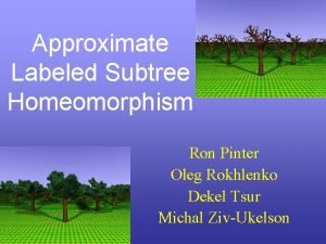 Approximate Labeled Subtree Homeomorphism Ron Pinter Oleg Rokhlenko