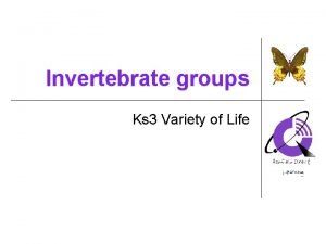 Invertebrate groups Ks 3 Variety of Life Which