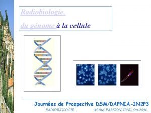 Radiobiologie du gnome la cellule Journes de Prospective