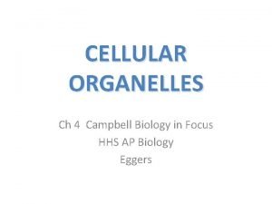 Campbell biology in focus