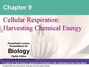 Chapter 9: cellular respiration: harvesting chemical energy