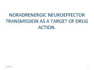 Noradrenergic transmission