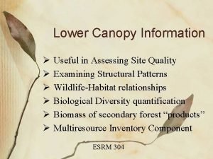 Lower Canopy Information Useful in Assessing Site Quality