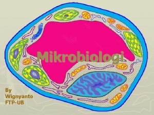 Mikrobiologi By Wignyanto FTPUB Ruang lingkup Pengantar mikrobiologi