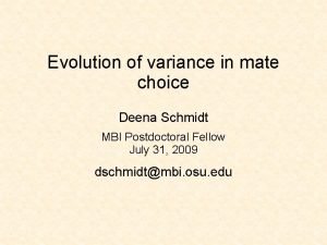 Deena schmidt Deena schmidt
