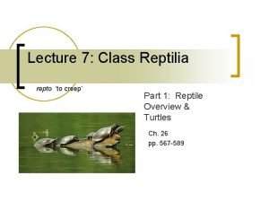 Lecture 7 Class Reptilia repto to creep Part