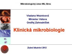 Mikrobiologick stav MU Brno Vladana Woznicov Miroslav Votava