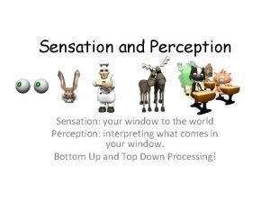 Sensation and Perception Sensation your window to the