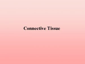 Dense connective tissue
