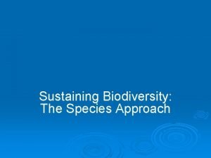 Sustaining Biodiversity The Species Approach Overview Questions How