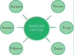 1what's the purpose of the body's immune system?