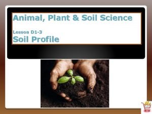 Animal Plant Soil Science Lesson D 1 3