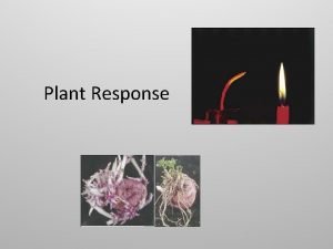 Plant Response Plant reactions Stimuli a Stationary Life