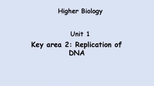 Higher biology dna replication