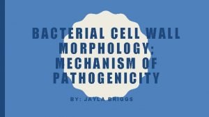 BACTERIAL CELL WALL MORPHOLOGY MECHANISM OF PATHOGENICITY BY