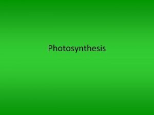 Photosynthesis Autotrophs Heterotrophs Autotrophs organisms use can make