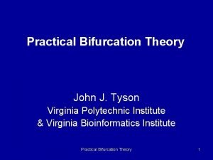 Practical Bifurcation Theory John J Tyson Virginia Polytechnic