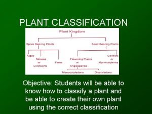 Plant classification