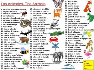 Los Animales The Animals 1 aardvark el cerdo