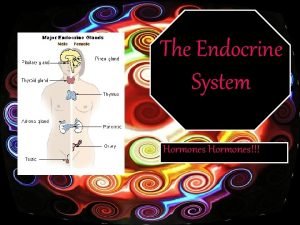 The Endocrine System Hormones Even though the endocrine