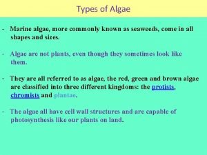 Types of Algae Marine algae more commonly known