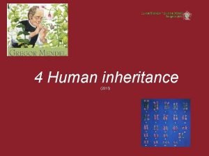4 Human inheritance 2015 Human inheritance Lesson overview