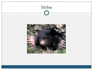 Moles Objectives To understand what is meant by