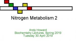 Nitrogen Metabolism 2 Andy Howard Biochemistry Lectures Spring