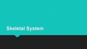 Skeletal System Functions of the Skeletal System Provides
