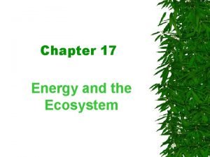 Chapter 17 Energy and the Ecosystem BIOSPHERE is
