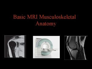 Musculoskeletal mri anatomy Musculoskeletal mri anatomy