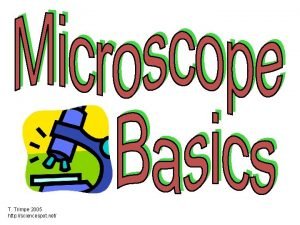 Microscopes brainpop quiz answers