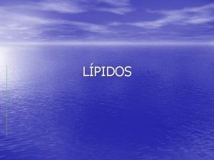 LPIDOS 1 CARACTERISTICAS PROPIEDADES CARACTERSTICAS Estan compuestos fundamentalmente