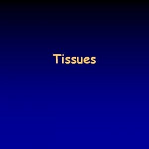 Tissues Tissue and organ 29 tissue assembly of