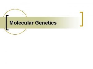 Molecular Genetics DNA The Genetic Material MAIN IDEA