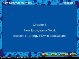 How ecosystems work