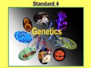 Standard 4 Genetics Genetics The scientific study of