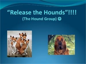 Release the Hounds The Hound Group Hound History