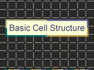 Basic Cell Structure Cells Basic building blocks of