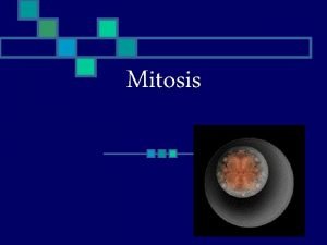 Mitosis What is Mitosis n The division of