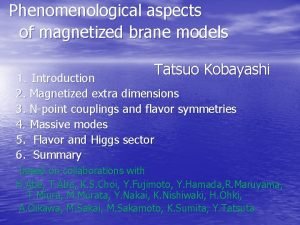 Phenomenological aspects of magnetized brane models Tatsuo Kobayashi