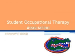 Florida occupational therapy association