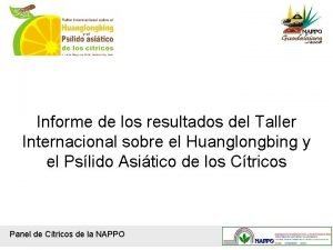 Informe de los resultados del Taller Internacional sobre