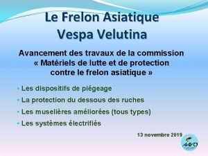 Le Frelon Asiatique Vespa Velutina Avancement des travaux