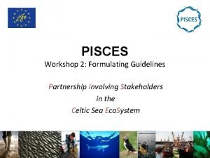 PISCES Workshop 2 Formulating Guidelines Partnership Involving Stakeholders